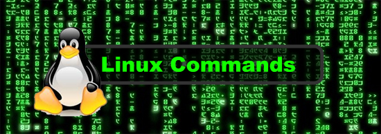 learn windows terminal commands